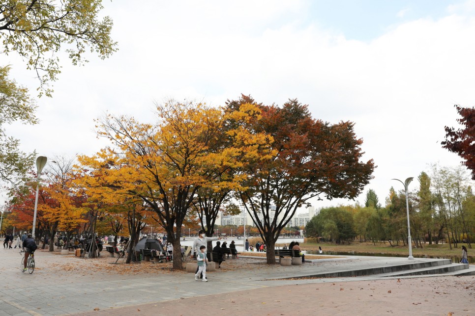 211210103834_ANuN6XJiE.jpeg